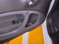 巴博斯 smart fortwo 圖片