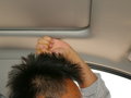 五菱宏光S3 图片