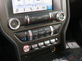 Mustang 图片
