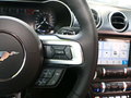 Mustang 图片