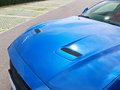 Mustang 圖片