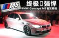 宝马M5 图片