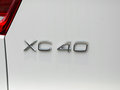 沃尔沃XC40（进口） 图片