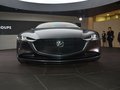 VISION COUPE 图片