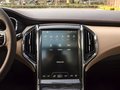 猎豹CS9新能源 图片