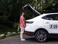 歐拉iQ 圖片