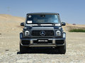 奔驰G级AMG AMG G632019款