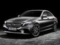 奔驰C级(进口) C 260旅行轿车2019款