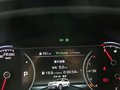 智跑 圖片