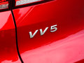 魏牌 VV5 图片