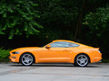 Mustang 图片