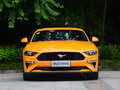 Mustang 图片
