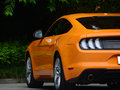 Mustang 圖片