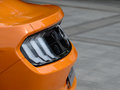 Mustang 圖片