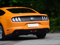 Mustang 圖片