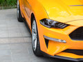 Mustang 圖片