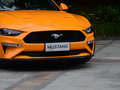 Mustang 圖片