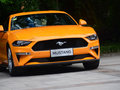 Mustang 圖片