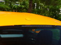 Mustang 圖片