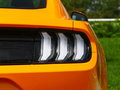 Mustang 图片