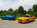 Mustang 图片