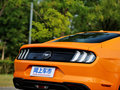 Mustang 图片