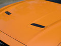 Mustang 图片