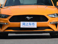 Mustang 图片
