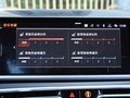 宝马X5(进口) 图片