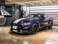 Mustang 图片