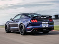 Mustang Shelby GT3502019款
