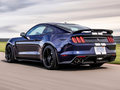 Mustang Shelby GT3502019款