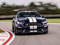 Mustang Shelby GT3502019款