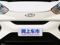 小蚂蚁 图片