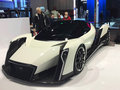 Dendrobium D-1基本型2018款