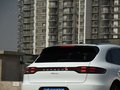 Macan 圖片