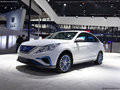 風(fēng)行S50EV 圖片