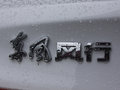 風(fēng)行S50EV 圖片