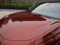 標(biāo)致508L 圖片