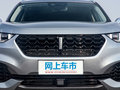 魏牌 VV6 2.0T两驱旗舰型 国V2018款