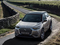 DS 3新能源 E-Tense右岸版2021款