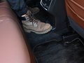 森林人 图片