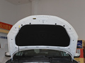 逸動新能源 EV460 智行網(wǎng)約版 磷酸鐵鋰2024款