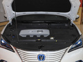 逸動新能源 EV460 智行網(wǎng)約版 磷酸鐵鋰2024款