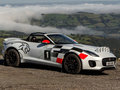 捷豹F-TYPE Rally Concept2018款