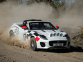 捷豹F-TYPE Rally Concept2018款
