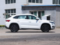 柯迪亚克GT TSI330 两驱豪华版国VI2019款