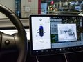MODEL 3 (進(jìn)口) 圖片