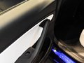 MODEL 3 (进口) 图片