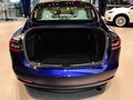 MODEL 3 (进口) 图片
